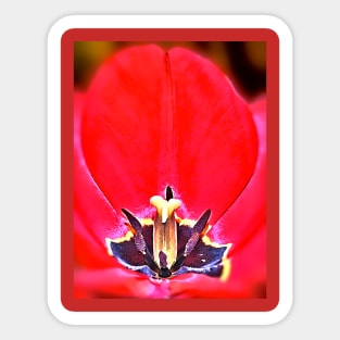 Tulip Sticker